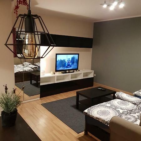 Apartamenty Hetmanska - 24H Shop Κατοβίτσε Εξωτερικό φωτογραφία