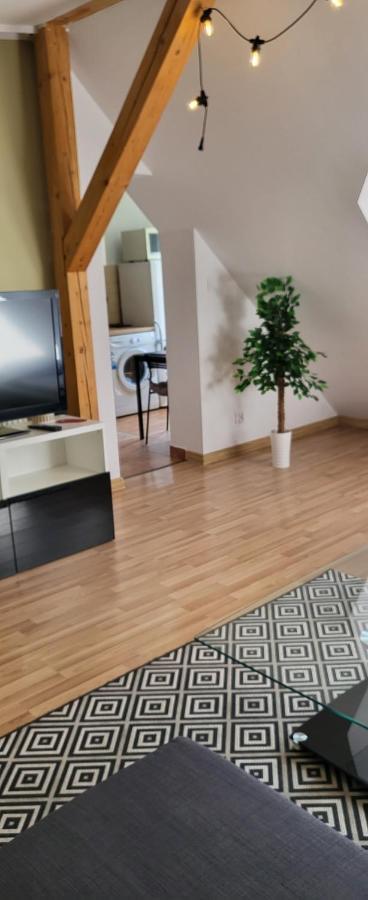 Apartamenty Hetmanska - 24H Shop Κατοβίτσε Εξωτερικό φωτογραφία